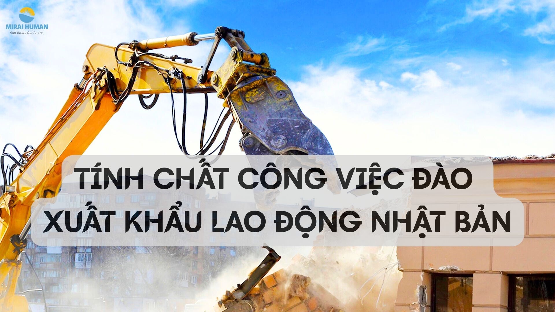 lao động Nhật Bản